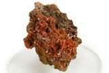 Fiery Red Wulfenite Crystal Cluster - Kuruktag Mountains, China #337090-2